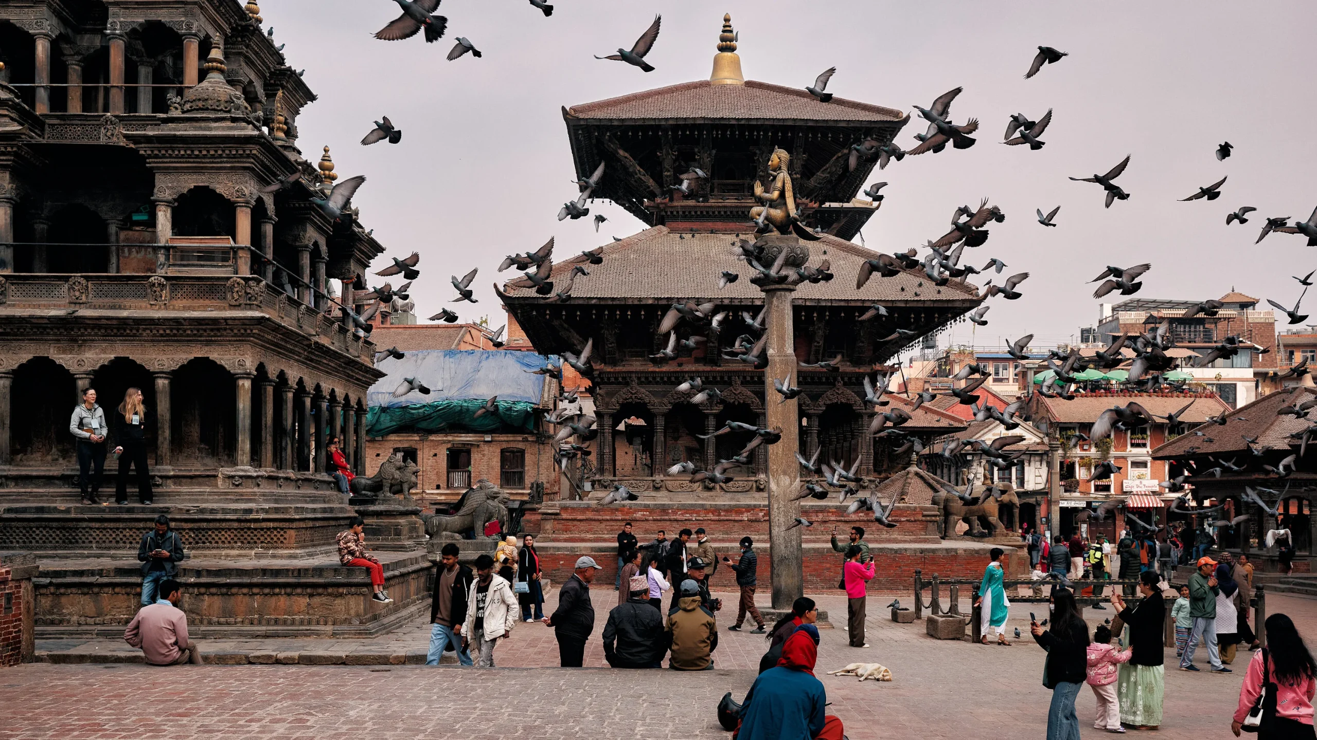 Safe Gas Tech Pvt. Ltd.